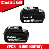 2PCS 6.0Ah