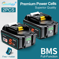 2 PCS 5Ah battery