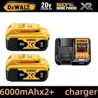 6.0Ahx2-Charger