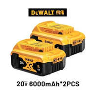 20V 6.0Ah X2PCS