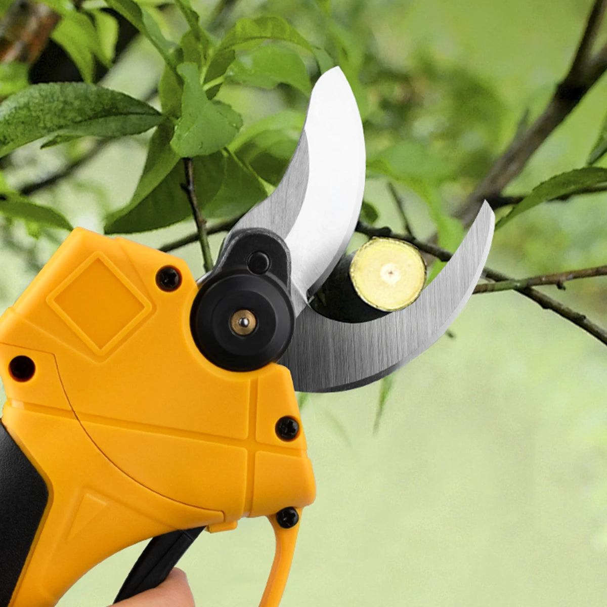 Gisam pruning shear detail, sharp blades and ergonomic handle, cordless