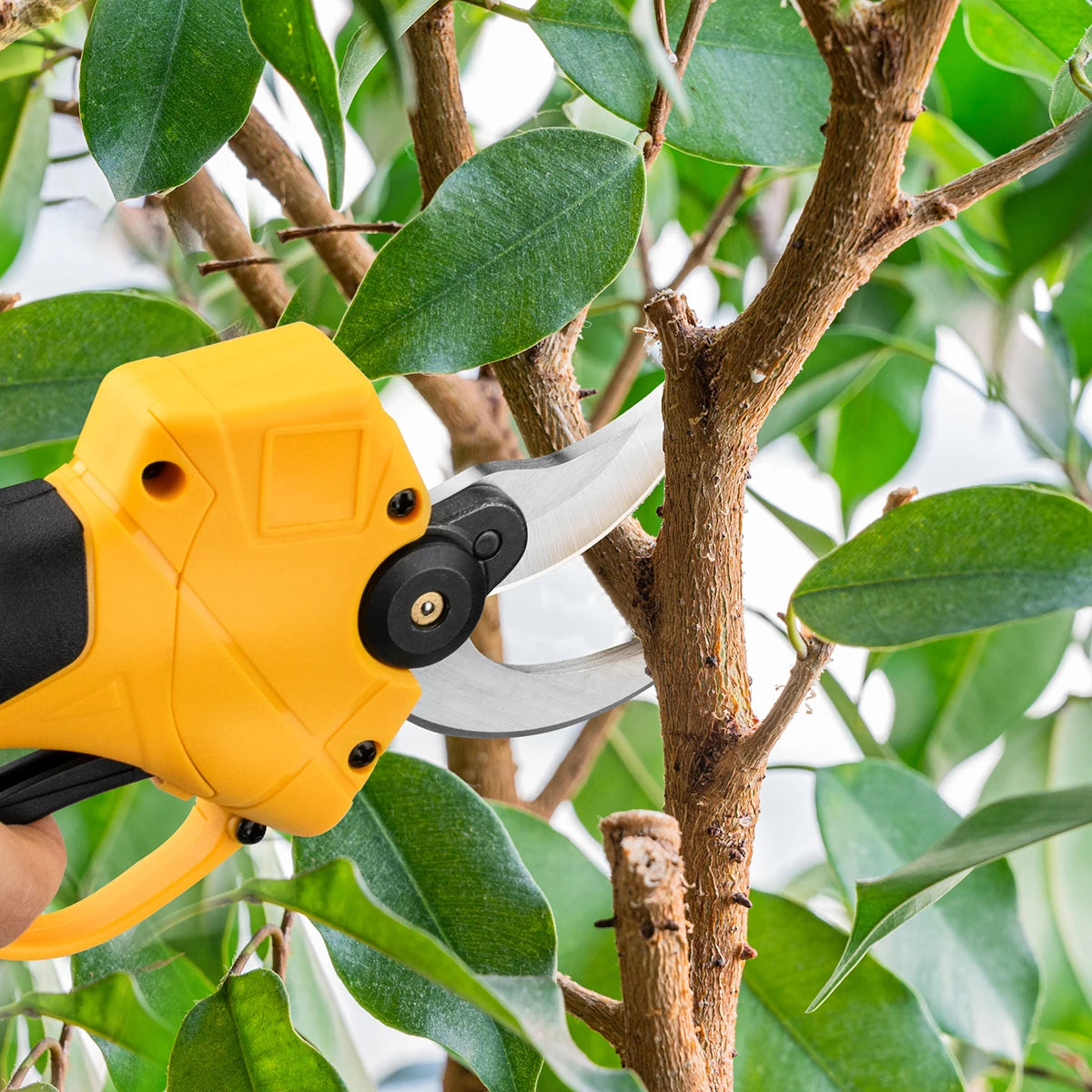 Gisam pruning shear cutting branches, natural setting, cordless design