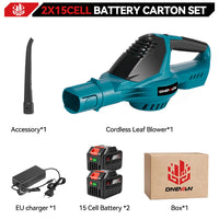 2 Big Battery Set
